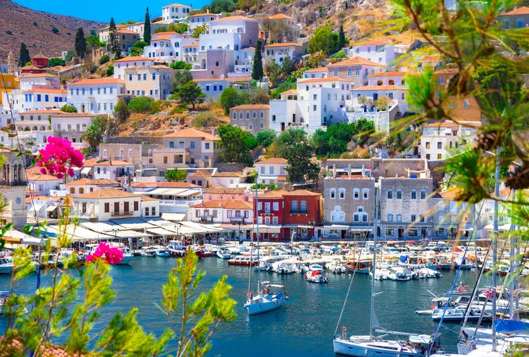 Hydra harbour yachts framed by pink bougainvillea and pine branches