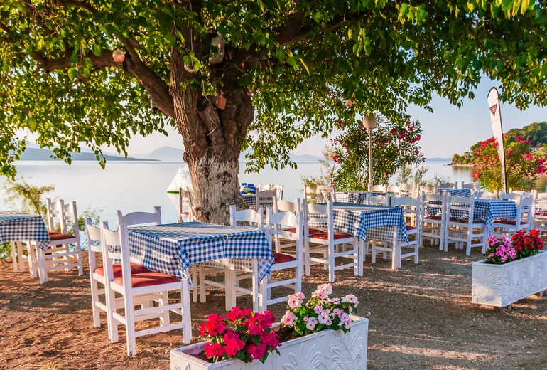 Taverna tables with checked tablecloths under an old tree beside a calm sea